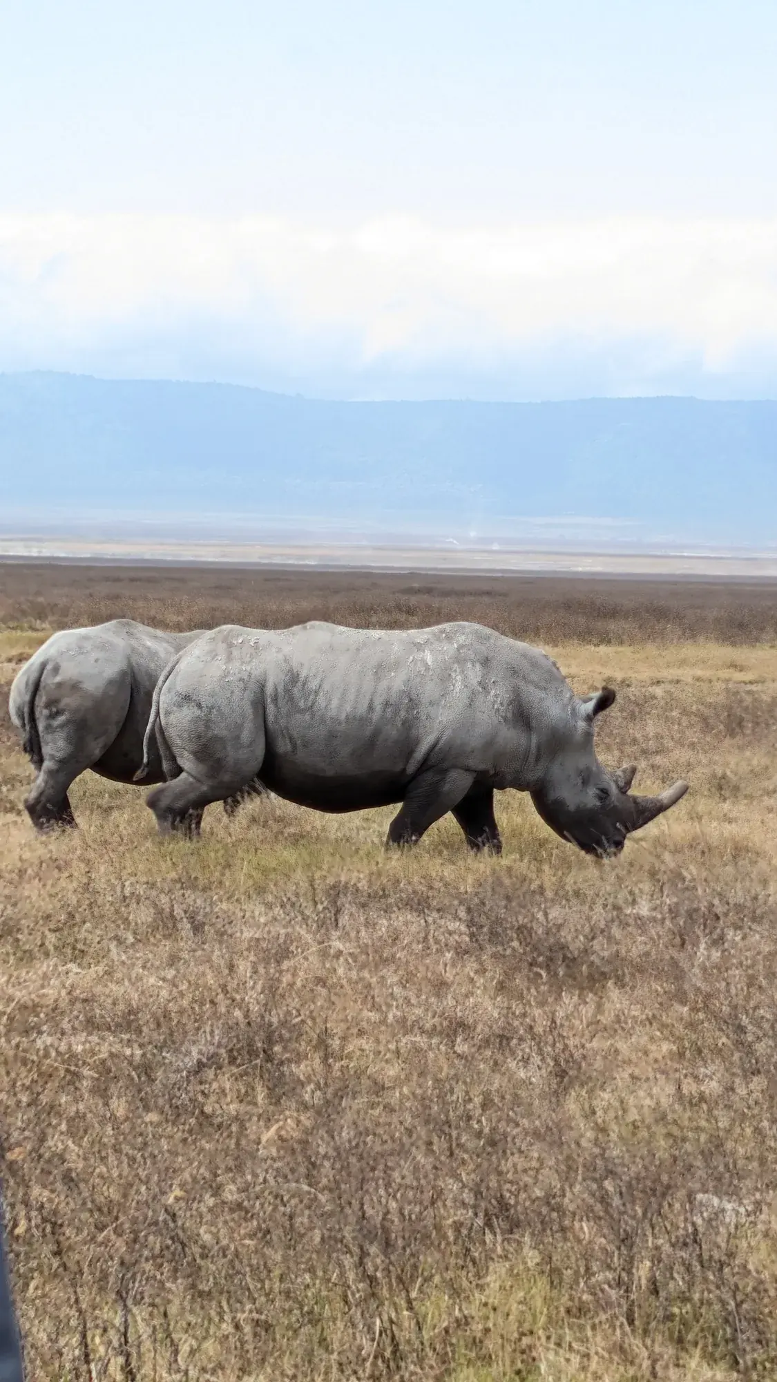 Ngorongoro Accommodation: Crater Rim, Highlands or Karatu?