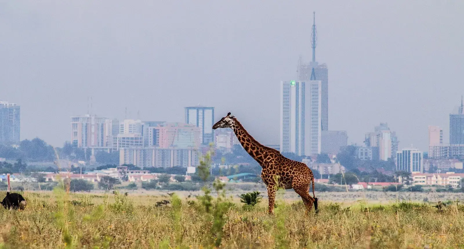 5-Day Nairobi & Kenya Coast Escape
