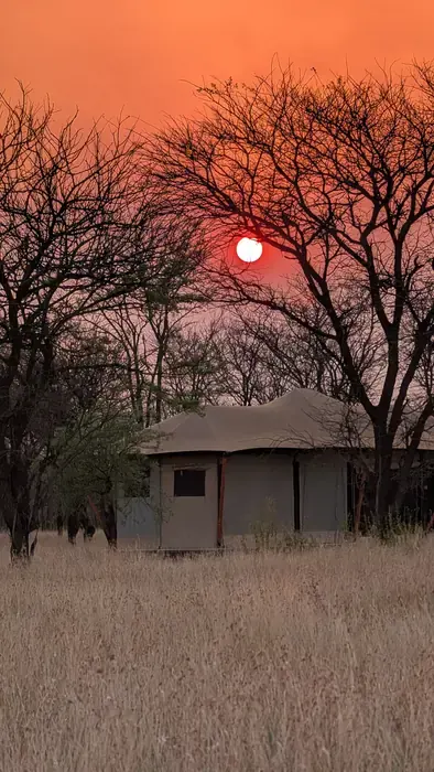 Safari tented camp under trees with the sun setting behind it
