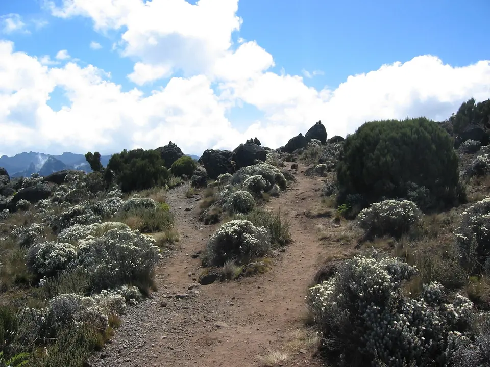 8-Day Kilimanjaro Lemosho Route