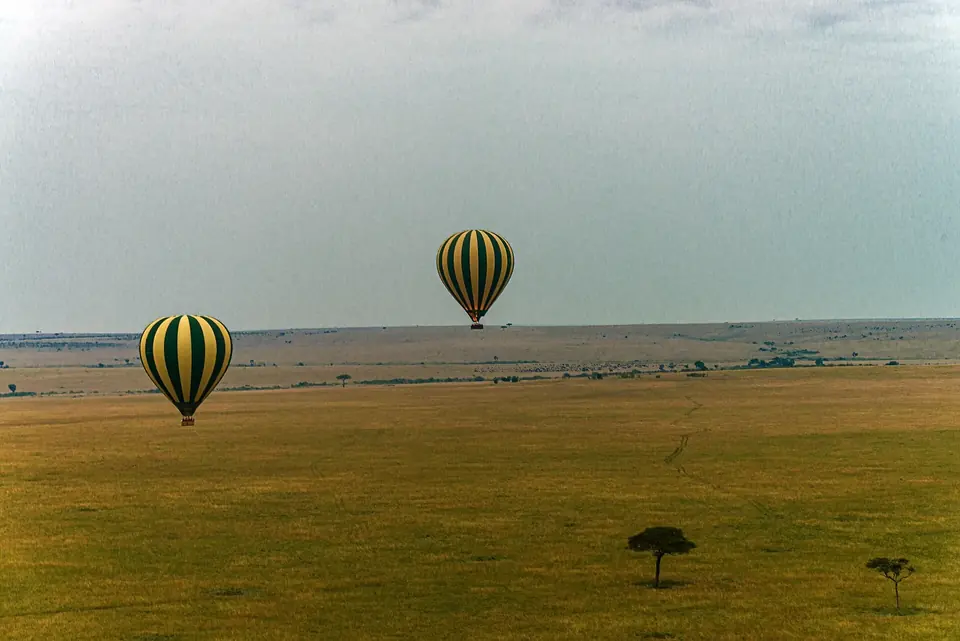 6-Day Masai Mara & Kenya Coast