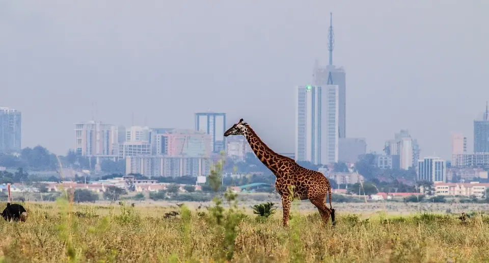 5-Day Nairobi & Kenya Coast Escape
