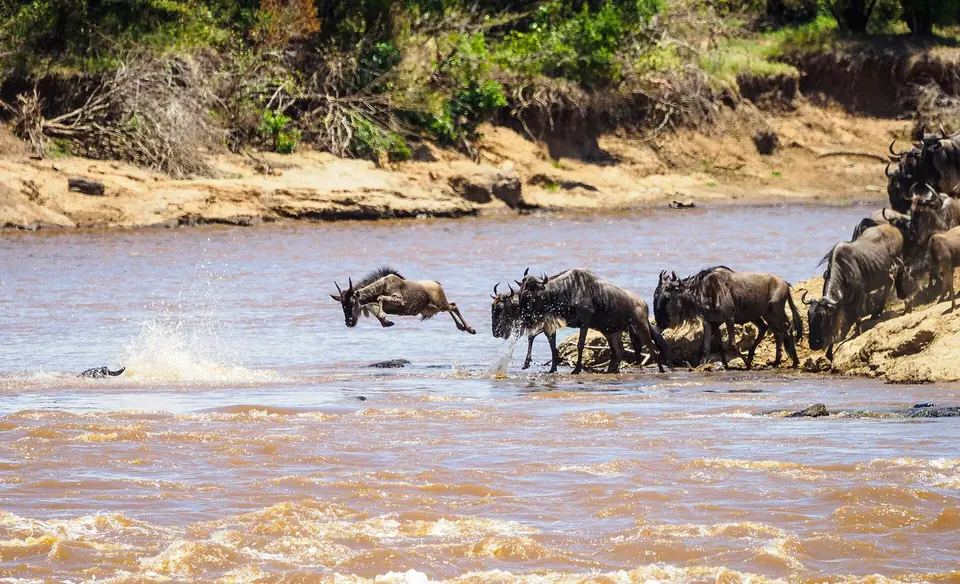 3-Day Masai Mara Safari