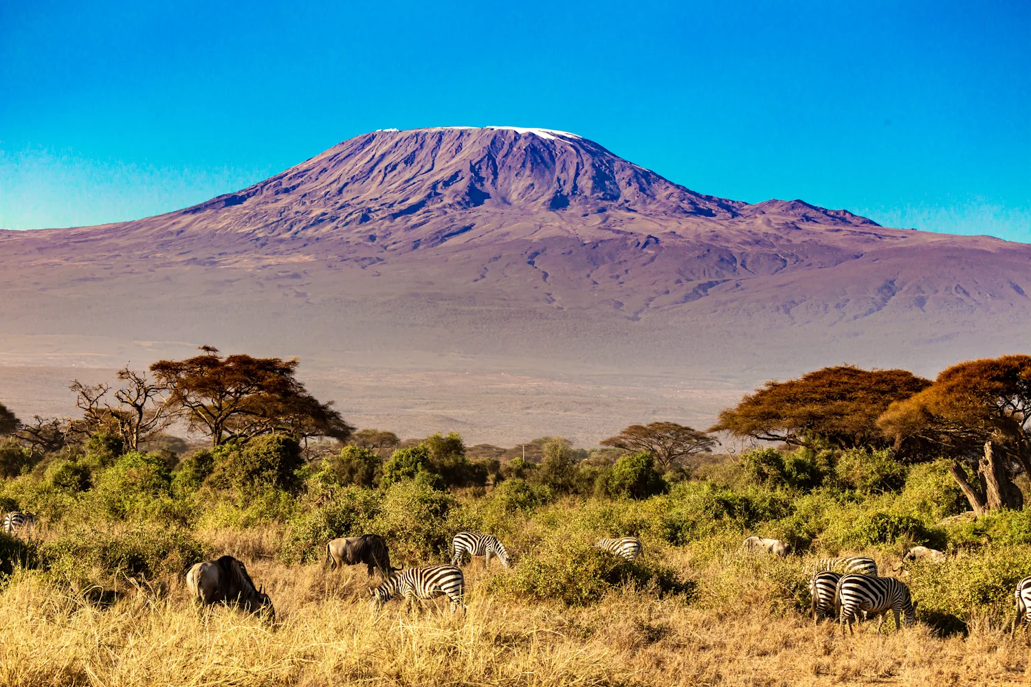 4-Day Mount Meru Trek