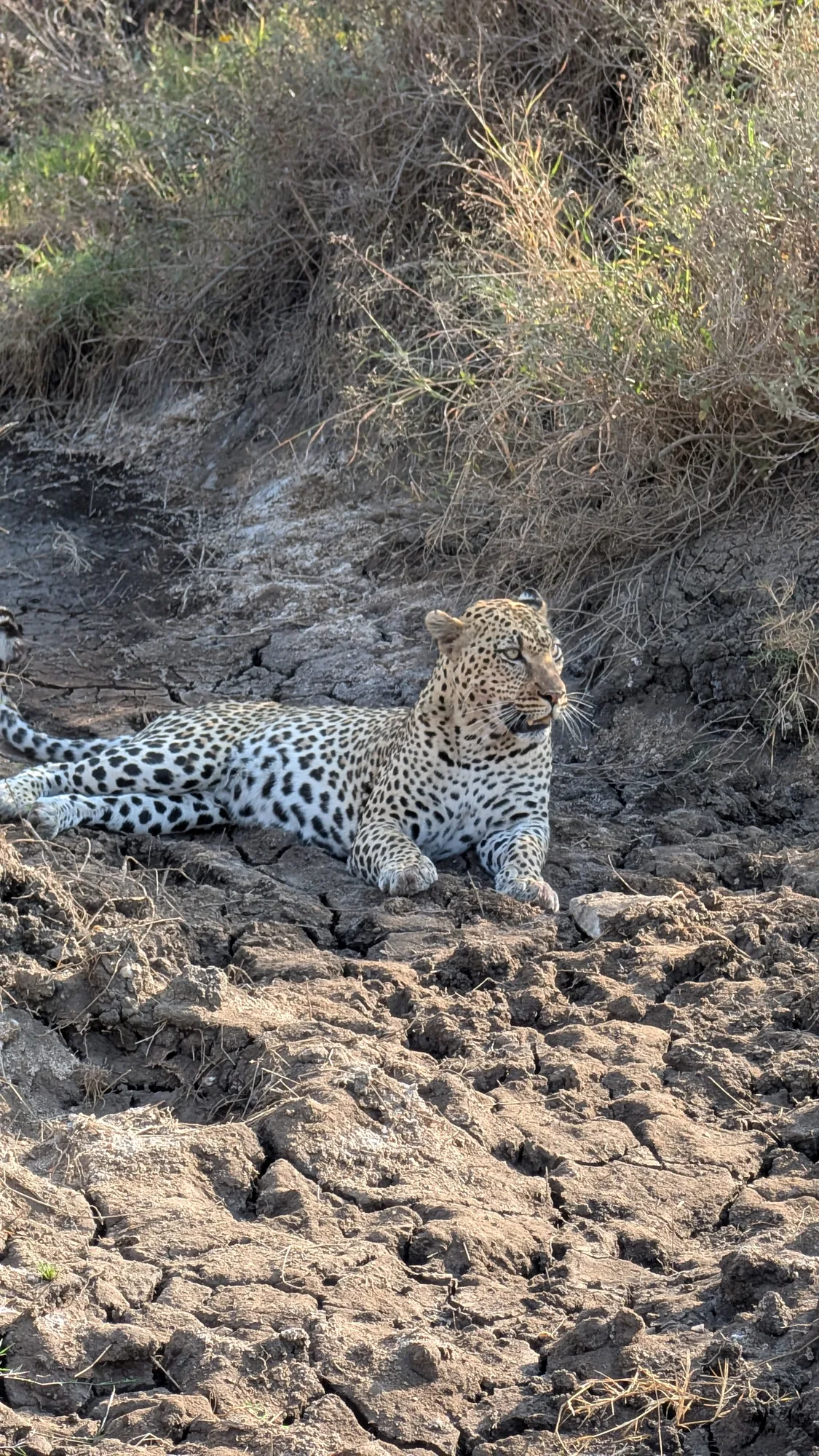10-Day Tanzania Photography Safari