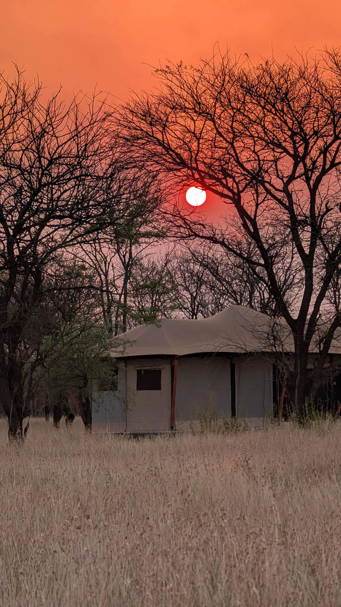 5-Day Budget Camping Safari