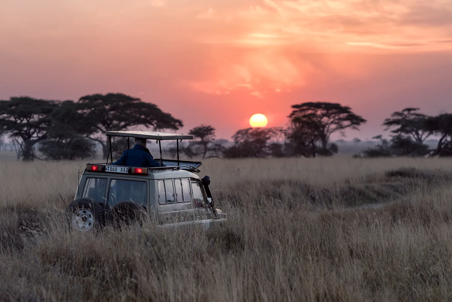 Wildebeest migration on the Serengeti plains